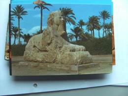 Egypte Egypt Giza Spinx Of Sakkara Nice View - Sphinx