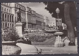 GREAT  BRITAIN  ,  Cheltenham  ,  OLD  POSTCARD - Cheltenham