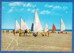 Deutschland; St. Peter-Ording; Strandsegler - St. Peter-Ording