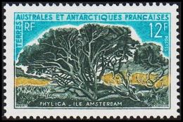 1969. TERRES AUSTRALES ET ANTARCTIQUES FRANCAISES. 12 F. PHYLICA ILE AMSTERDAM. (Michel 47) - JF309324 - Ongebruikt