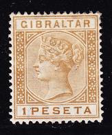 * GIBRALTAR - * - N°28 - 1p Bistre - TB - Gibraltar