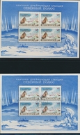 **/O RUSSIE - BLOCS FEUILLETS  - **/O - N°28 (x2) - Neuf Et Obl. - TB - Blokken & Velletjes