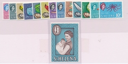 ** SAINTE HELENE - ** - N°141/54 - TB - Isla Sta Helena