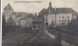 AK - Salzburg - Tamsweg - Schloss Mosshamm Mit Vorgärten - 1924 - Tamsweg