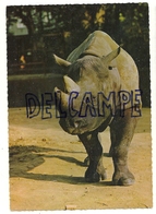 Rhinocéros ANCO 1/85 - Rhinocéros