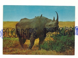 Rhinocéros Noir. Afrique. Rinoceronte Nero. CECAMI 1021 - Rhinoceros