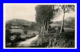 Chateauneuf Du Faou * La Montagne Noire   *  édition Gaby  (scan Recto Et Verso ) - Châteauneuf-du-Faou