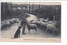 POUGUES Les EAUX - Jeune Berger Et Son "Mignon" - Pougues Les Eaux