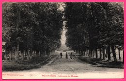 Muids - L'Avenue Du Château - Animée - Photo GEORGES ANDRE - Muids