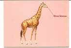 CPM GIRAFE Gros Bisous Fond Rose - Girafes