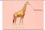 CPM GIRAFE Gros Bisous Fond Rose - Giraffen