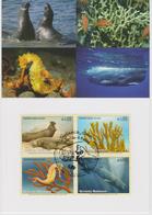 United Nations - MK 97 - Mi 526-5229 Endangered Species - Northern Elephant Seal - Sea Ginger - Spiny Seahorse 2008 - Cartes-maximum