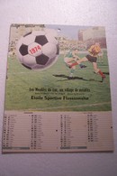 FLASSANS -SUR - ISSOLE  -Etoile Sportive Flassannaise -  ( Publicité " Les Meubles Du LUC " ) - FOOTBALL - Grand Format : 1971-80