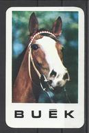 Hungary, Horsehead, Horserace Co. Ad, 1974. - Formato Piccolo : 1971-80