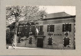 CPSM Dentelée - SOREZE (81) - Aspect De La Mairie Pavoisée Pour La Fête Du 14 Juillet Dans Les Années 50 - Cadalen