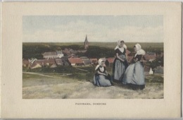 CPA - DOMBURG - PANORAMA - Domburg