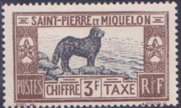 Saint-Pierre Et-Miquelon Taxes N° 21 à 31 Chiens 11 Valeurs Qualité: * Cote: 155 € - Portomarken