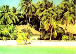 MALDIVES. Carte Postale écrite. Kurumba Village. - Maldiven