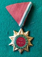 Medaglia  Ungheria 1945/1970 - Autres & Non Classés