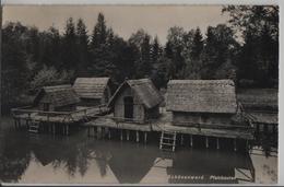 Schönenwerd - Pfahlbauten - Schönenwerd