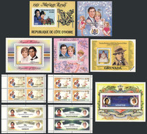 TOPIC LADY DI: Large Number Of Souvenir Sheets And Mini-sheets, All MNH, Most Of British Colonies. It Includes Some Impe - Otros & Sin Clasificación