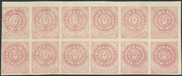 ARGENTINA: GJ.7, 5c. Rose With Accent Over The U, Beautiful Corner Block Of 12, Mint Original Gum (+50%). Some With Mino - Brieven En Documenten