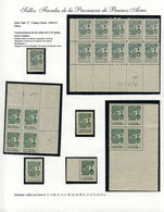 ARGENTINA: PROVINCE OF BUENOS AIRES: Taxes, Issues Of 1944/1969, Specialized Collection Mounted On 80 Pages, Including A - Otros & Sin Clasificación