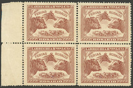 ARGENTINA: Larrechea Hnos. & Cía, Rosario, Beautiful Cinderella With View Of Cattle, Circa 1900, Block Of 4 Mint Without - Erinofilia