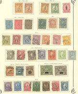 PARAGUAY: Old Collection On Album Pages, Used Or Mint Stamps, Fine General Quality, Good Opportunity! IMPORTANT: Please  - Paraguay