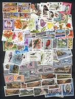 SAINT HELENA: Lot Of Stamps And Complete Sets + Souvenir Sheets, Very Thematic, All Of Excellent Quality, High Catalog V - Andere & Zonder Classificatie
