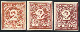 SURINAME: Sc.18, 1890 2c., 3 TRIAL COLOR PROOFS (different Shades), Imperforate, Excellent Quality, Rare! - Suriname
