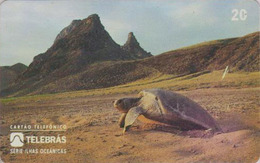 Télécarte Brésil - ANIMAL - TORTUE Ile De La Trinité - TURTLE Phonecard - SCHILDKRÖTE * Telebras * - 156 - Schildpadden