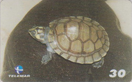 Télécarte Brésil - ANIMAL - TORTUE - Podocnemis Expansa - TURTLE Phonecard - SCHILDKRÖTE * Telemar * - 158 - Schildkröten