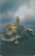 Télécarte Liberia - ANIMAL - TORTUE - TURTLE Phonecard - SCHILDKRÖTE Telefonkarte - 177 - Schildpadden