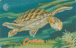 Télécarte GPT ILES VIERGES BVI - ANIMAL - TORTUE - TURTLE VIRGIN ISLANDS Phonecard - SCHILDKRÖTE - 191 - Tortues