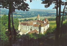 NIEVRE - 58 - CPSM GF Couleur BAZOCHES DU MORVAND - Le Château - Bazoches