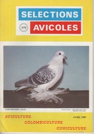 SELECTIONS AVICOLES AVICULTURE COLOMBICULTURE CUNICULTURE  AVRIL 1989  N° 279 - Animaux