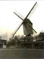 KRUIBEKE (O.Vl.) - Molen/moulin - Fraaie Prentkaart Van De Gewezen Molen Van Hul Omstreeks 1925. - Kruibeke