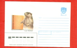 Panda. USSR 1966. Envelope With A Printed Stamp. The Envelope New. - Lettres & Documents