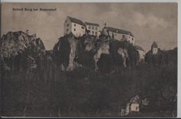 Schloss Burg Bei Rodersdorf - Autres & Non Classés
