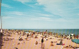 Delaware Greetings From Rehoboth Beach Sunbathers - Other & Unclassified