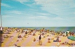 Delaware Greetings From Rehoboth Beach Sunbathers - Sonstige & Ohne Zuordnung