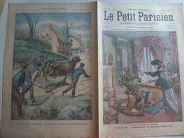 Journal Le Petit Parisien 24 Décembre 1905 881 Assassinat Du Général  Sakharrof Revolution Russie Football Accident Amou - Le Petit Parisien