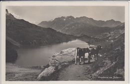 NIDWALDEN  "EINGEBORENE" AM JOCHPASS  PHOTO AK - Otros & Sin Clasificación