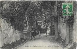 Delcampe - Vaux De Cernay L'allee Du Chateau Belle Animation - Vaux De Cernay