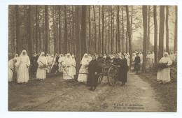 Gooreind Franciscaines Missionnaires De Marie-Noviciat à Gooreind-Wuestwezel Werk En Onstpanning - Wuustwezel