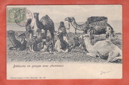 LEVANT TYPE BLANC SUR CARTE DE 1904 DE BEYROUTH POUR BREST FRANCE (DECHIRURE) - Brieven En Documenten