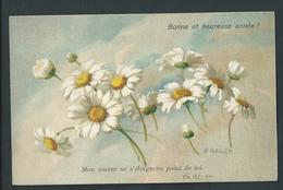 Anna Haller. Bonne  Et Heureuse Année! Avec Message D'Amour. Es. 54. Marguerites Blanches. - Haller, A.