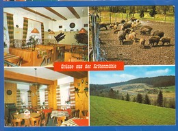 Deutschland; Bad Steben; Krötenmühle - Bad Steben