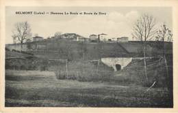 BELMONT - Hameau Le Bouis Et Route Du Dory - Belmont De La Loire